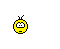 1363.gif
