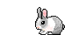 a_hasi2.gif
